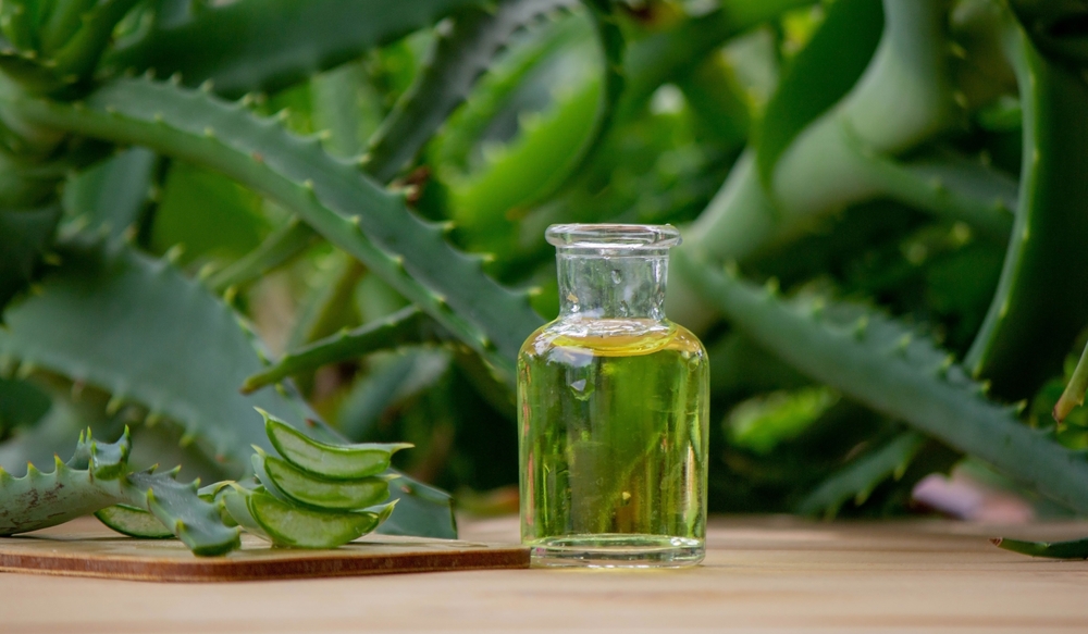 Aloe Vera Oil